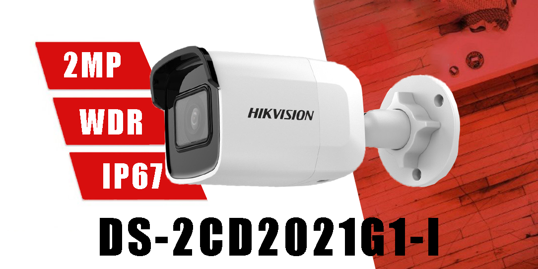 معرفی هایک ویژن مدل DS-2CD2021G1-I